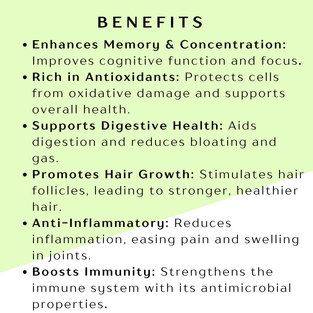 Dried Rosemary Leaves – Aromatic Herb for Health and Culinary Uses