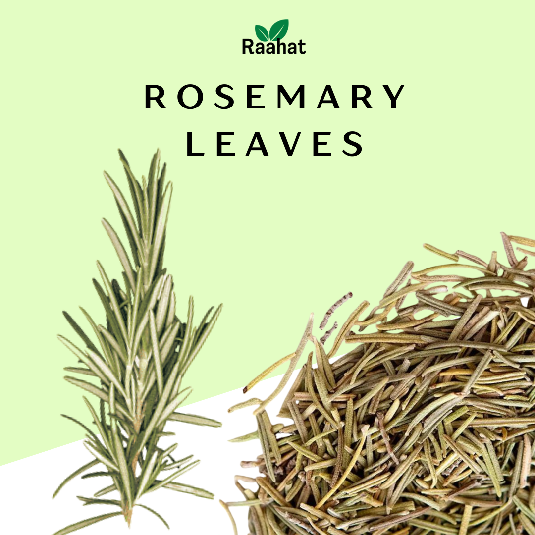 Dried Rosemary Leaves – Aromatic Herb for Health and Culinary Uses